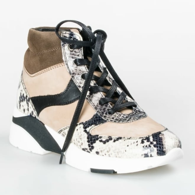 DL SPORT 4563 - DL SPORT