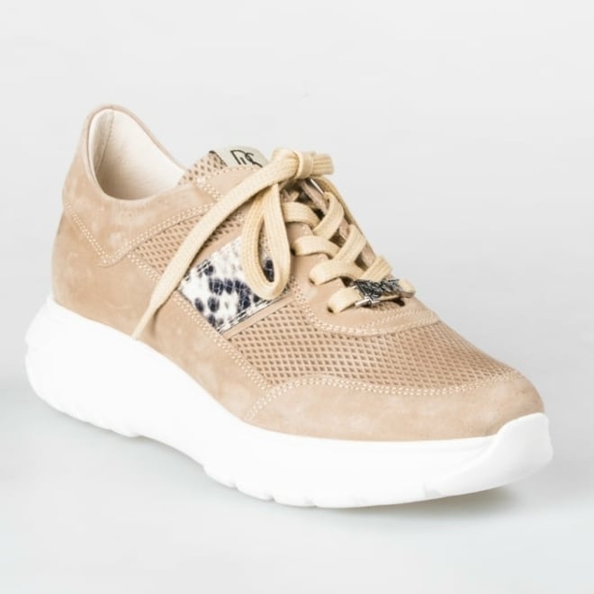 DL SPORT 4679 - DL SPORT