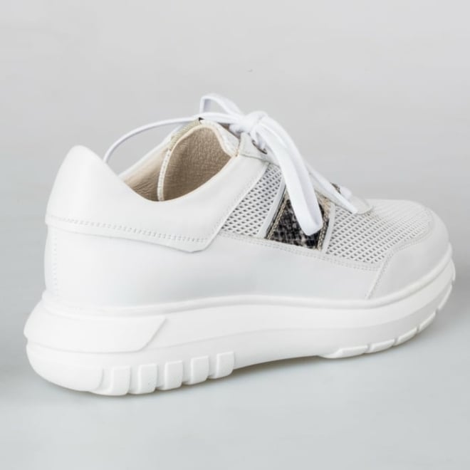 DL SPORT 4679 - DL SPORT