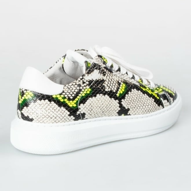 Blackstone TW-91 - Blackstone