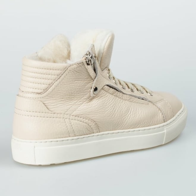 GINO B MONARCH 17620