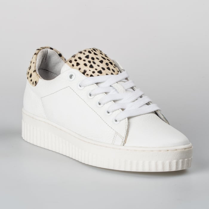 Shoecolate Nova Creme Dames | 8.11.04.198.01 | SNEAKERS
