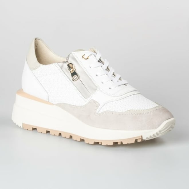 DL SPORT 5278 - DL SPORT
