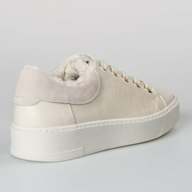 DL SPORT 5400 - DL SPORT