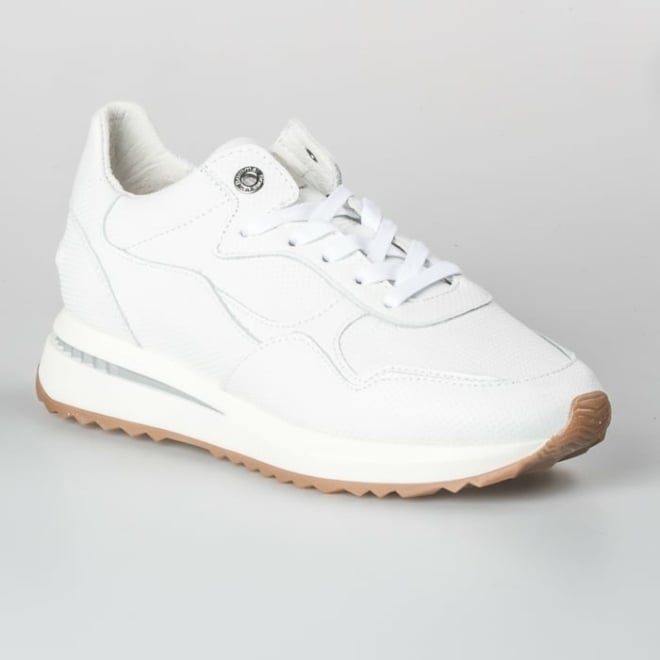 Floris van Bommel SFW-10065-60-04 - Floris van Bommel