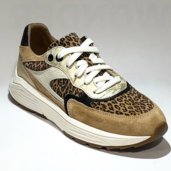 Xsensible 33002.4 Ponte Vecchio - Xsensible