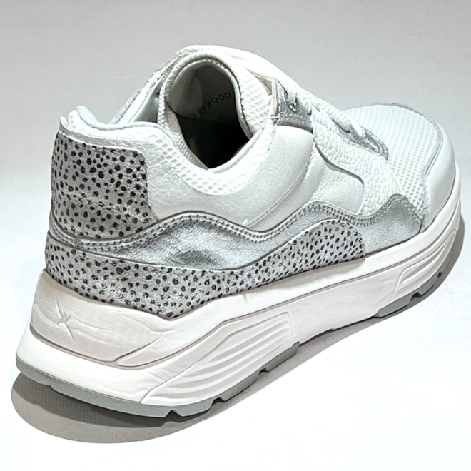 Xsensible 33000.1 Golden Gate - Xsensible