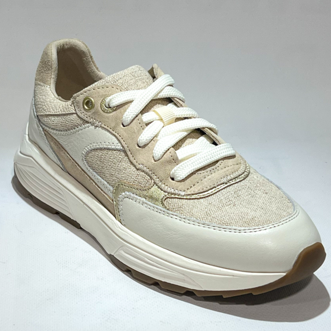 Xsensible 33002.5 Ponte Vecchio - Xsensible