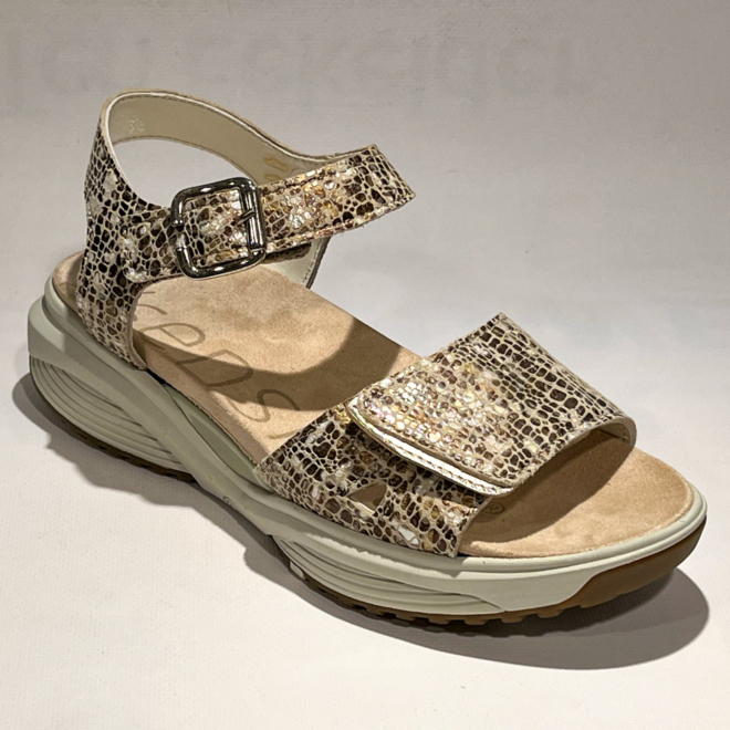 Xsensible 30312.5 Skala - Xsensible