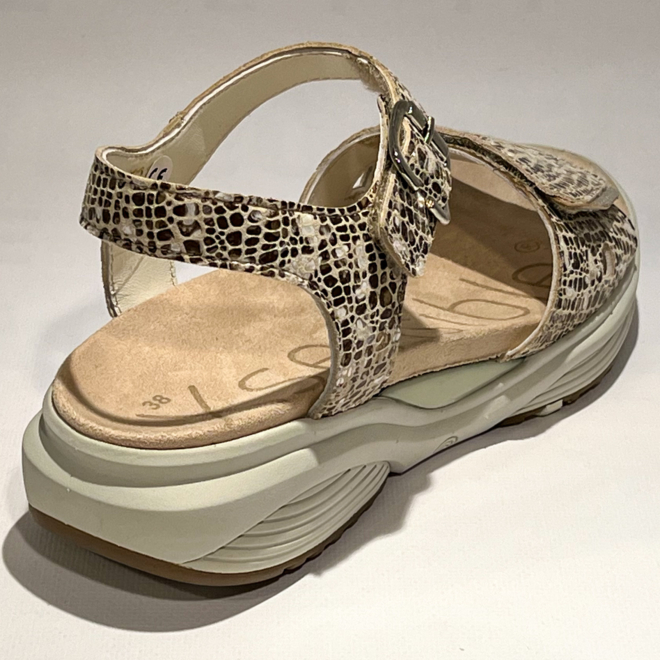 Xsensible 30312.5 Skala - Xsensible