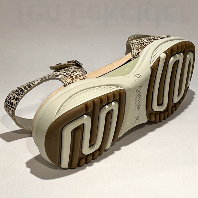 Xsensible 30312.5 Skala - Xsensible