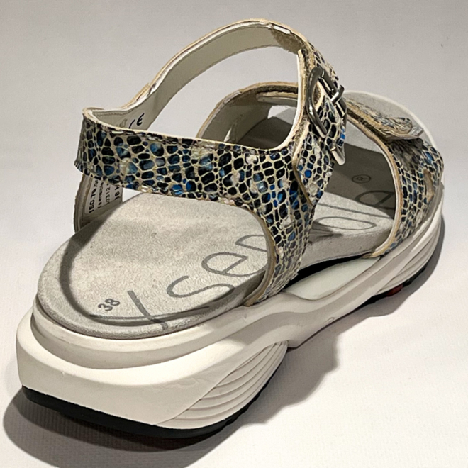 Xsensible 30312.5 Skala - Xsensible