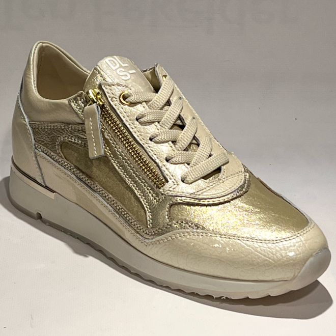 DL SPORT 6920 Vers 08 - DL SPORT