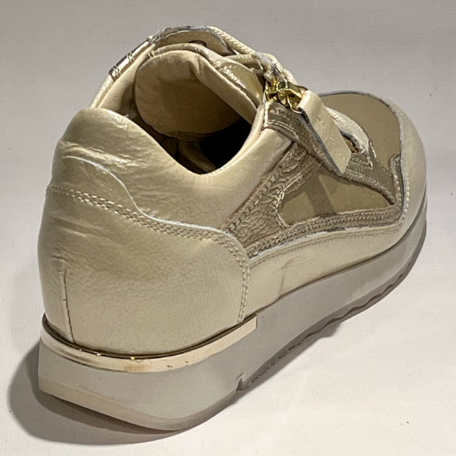 DL SPORT 6920 Vers 08 - DL SPORT