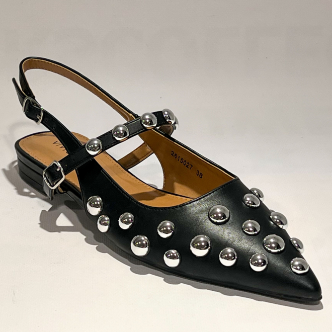 Vivian Ray Ziloe 2615027
