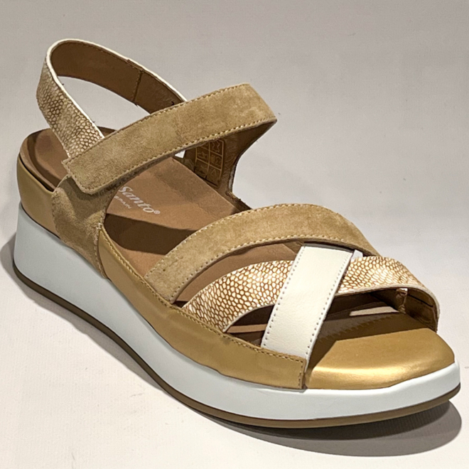 PieSanto 260424 - PieSanto