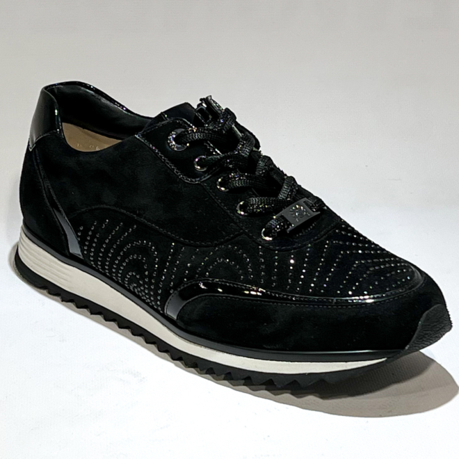 HASSIA 302058 -0199 - HASSIA