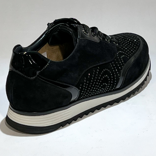 HASSIA 302058 -0199 - HASSIA