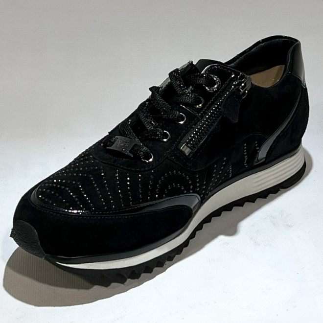 HASSIA 302058 -0199 - HASSIA