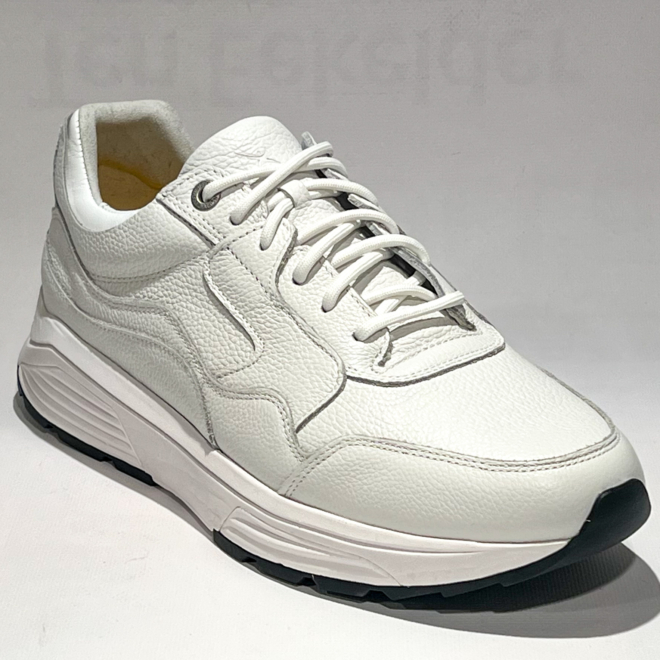 Xsensible 33200.5 Golden gate men - Xsensible