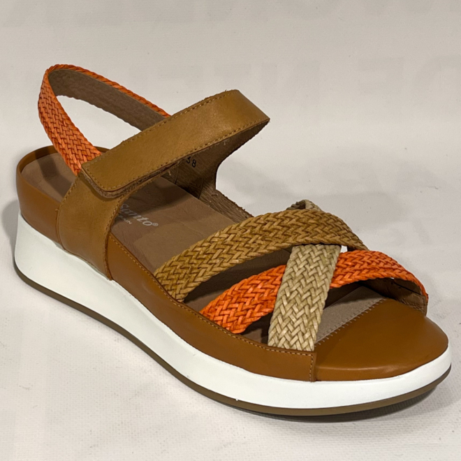 PieSanto 250425 - PieSanto