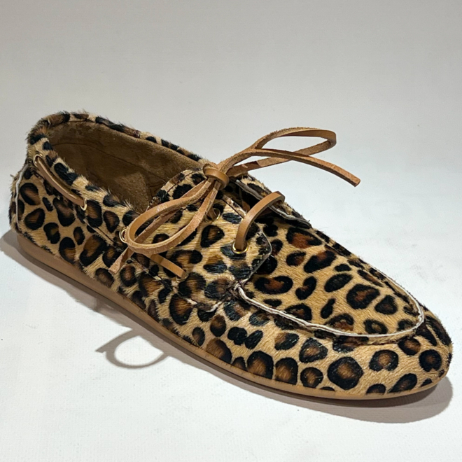 Miss Behave Jeanne 1-A Multi pony