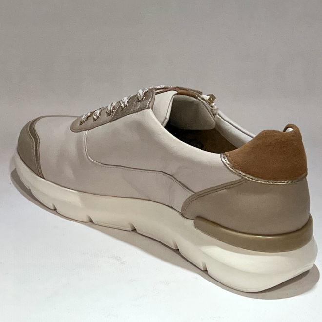 HASSIA 301356 -1227 - HASSIA