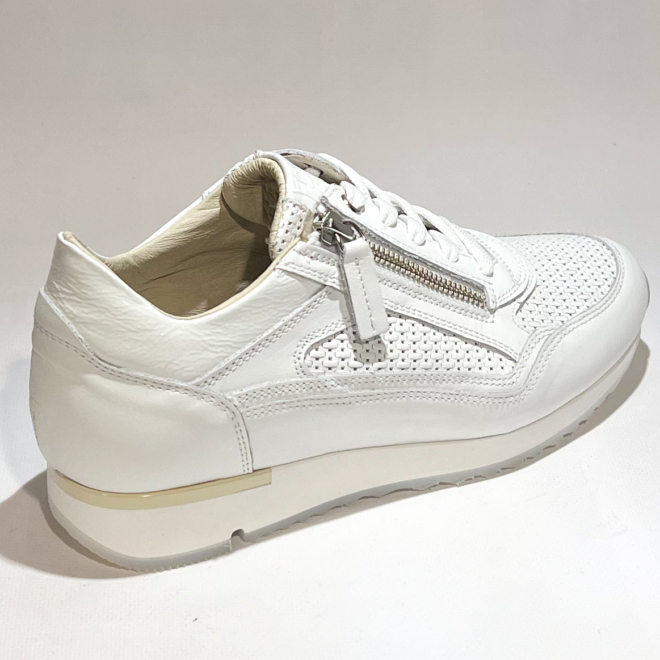 DL SPORT 6216 - DL SPORT