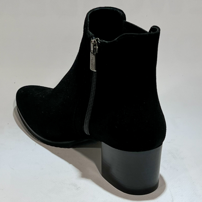 CERVONE 60 - CERVONE