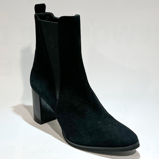 CERVONE 2431 - CERVONE