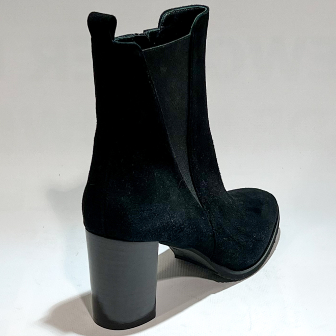 CERVONE 2431 - CERVONE