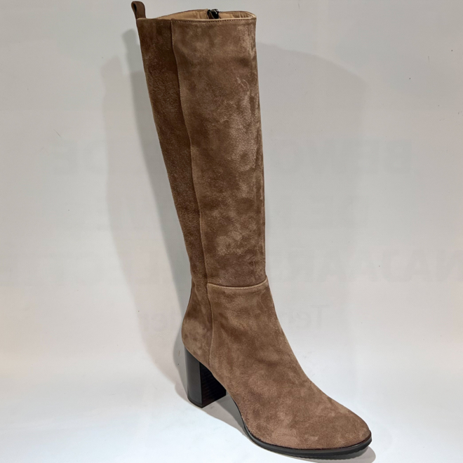 CERVONE 2434 - CERVONE