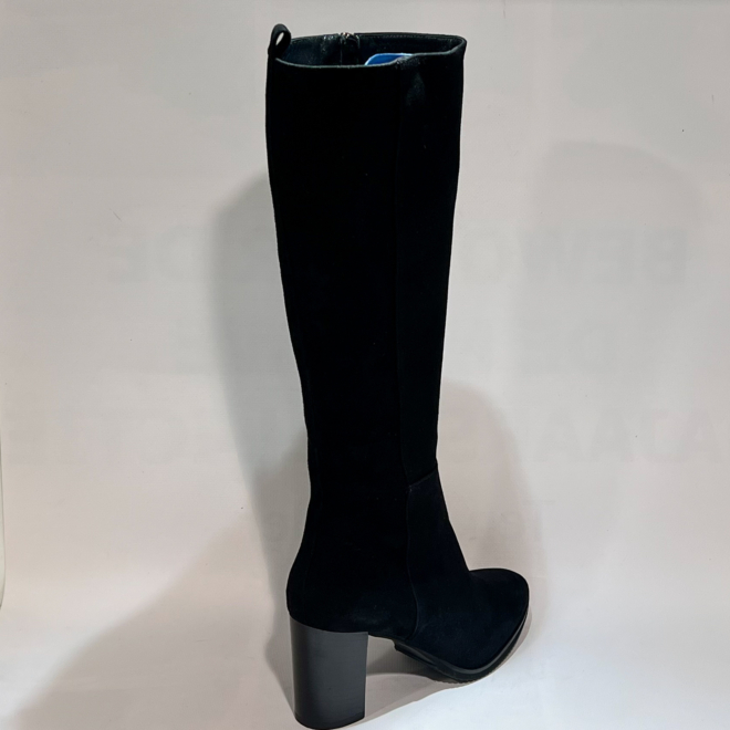 CERVONE 2434 - CERVONE