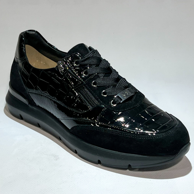 HASSIA 301355 -0100 - HASSIA