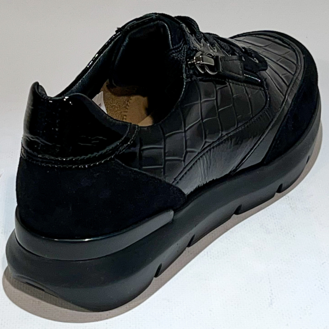 HASSIA 301355 -0100 - HASSIA