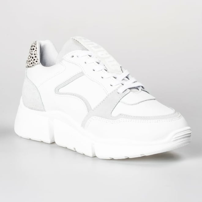 MARUTI 66.1600.01 CODY - MARUTI