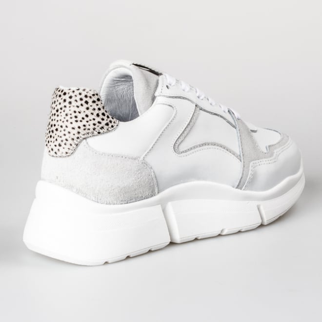 MARUTI 66.1600.01 CODY - MARUTI