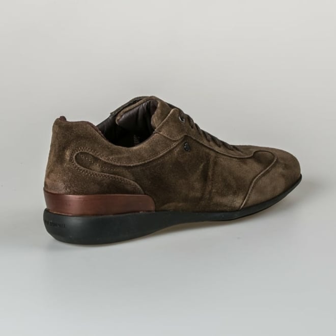 Van Bommel SBM-10016-34-01 Senna 01.03 - Van Bommel