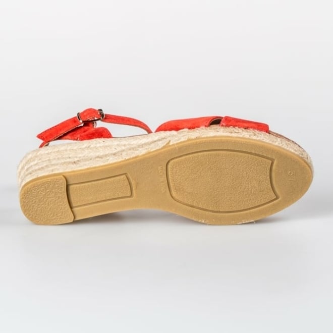 VIGUERA 1798 - VIGUERA