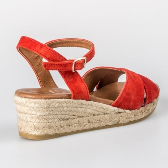 VIGUERA 1798 - VIGUERA