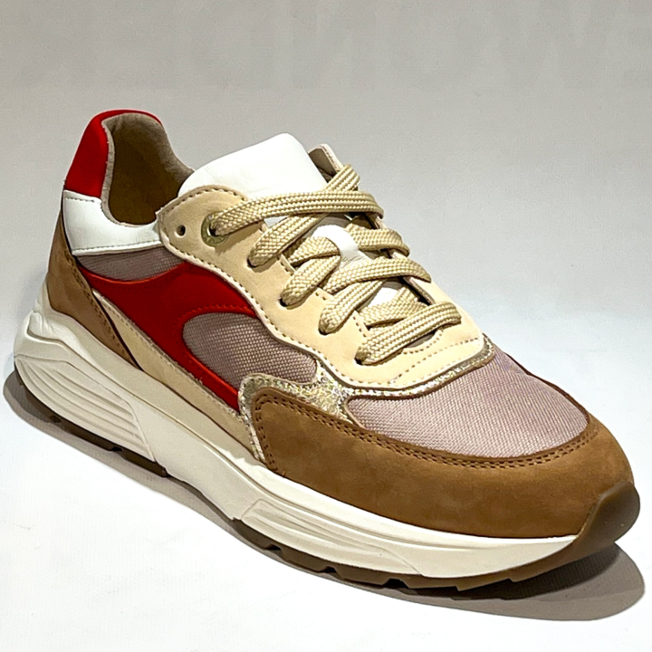 Xsensible 33002.5 Ponte Vecchio brown combi