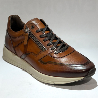 GREVE 3284.09 Walker